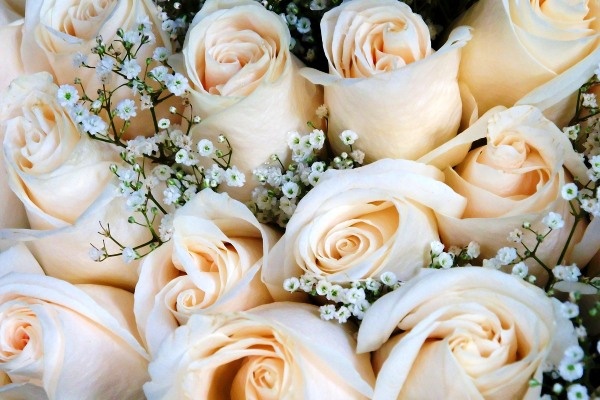 Van may ngay thu nam (10/3) hinh anh