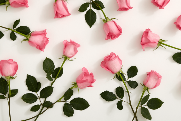 Van may ngay thu sau (11/3) hinh anh