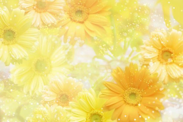 Van may ngay thu bay (12/3) hinh anh