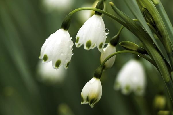 Van may ngay thu ba (15/3) hinh anh