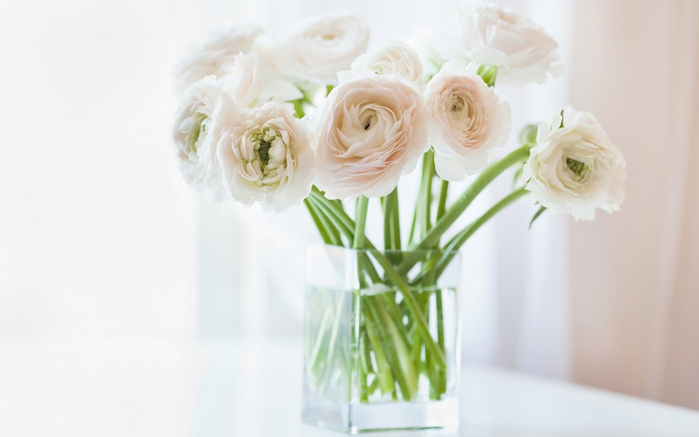 Van may ngay thu nam (17/3) hinh anh