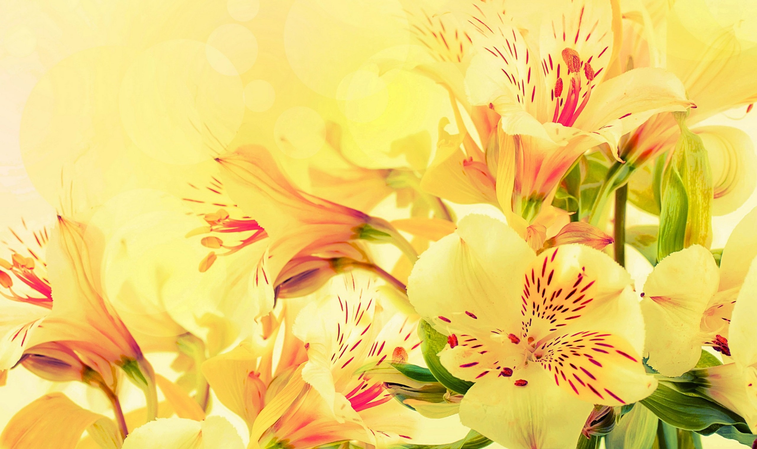 Van may ngay thu sau (18/3) hinh anh