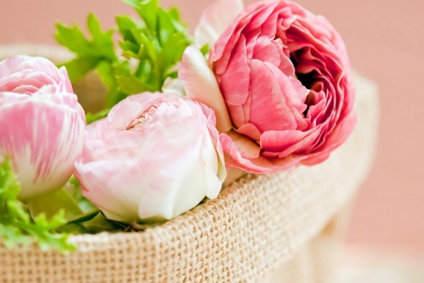 Van may ngay thu hai (21/3) hinh anh