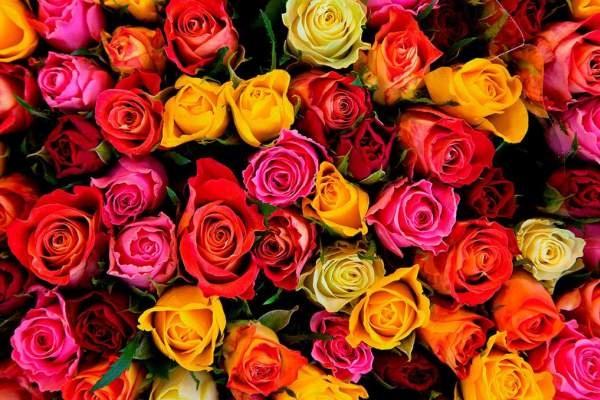 Van may ngay thu ba (22/3) hinh anh