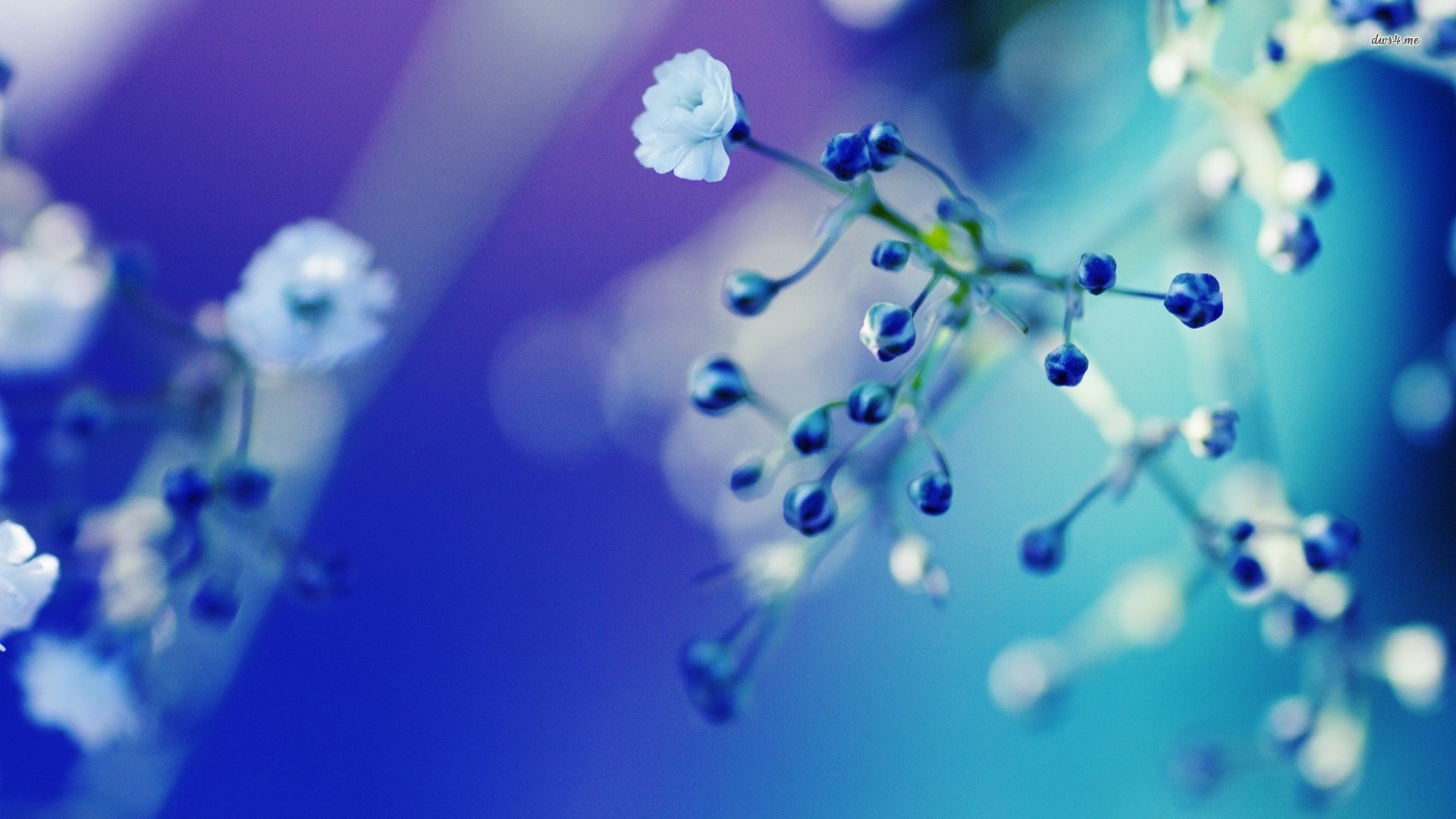 Trac nghiem ngay anh 1