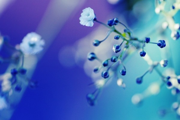 Van may ngay thu tu (23/3) hinh anh