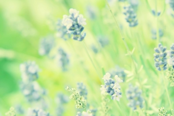 Van may ngay thu nam (24/3) hinh anh