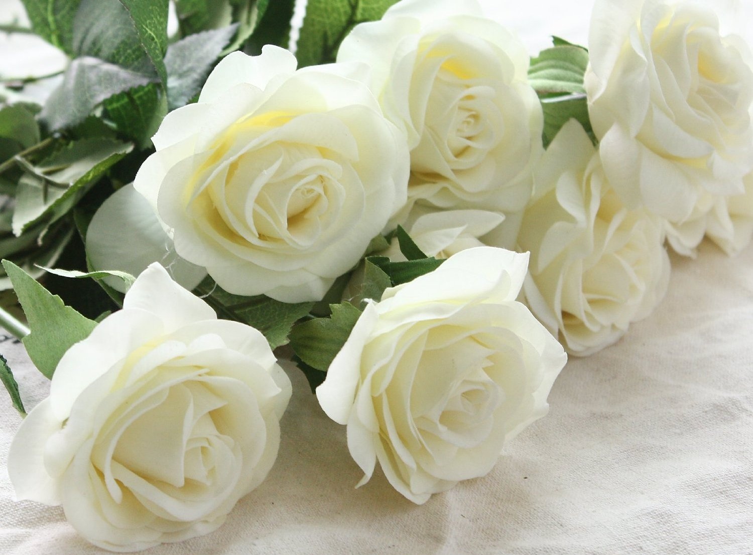 Trắc nghiệm ngày ảnh 1 Trac nghiem ngay anh 1