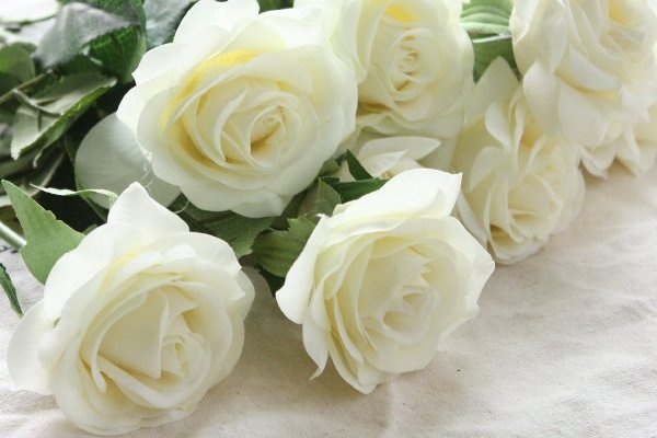 Van may ngay thu hai (28/3) hinh anh