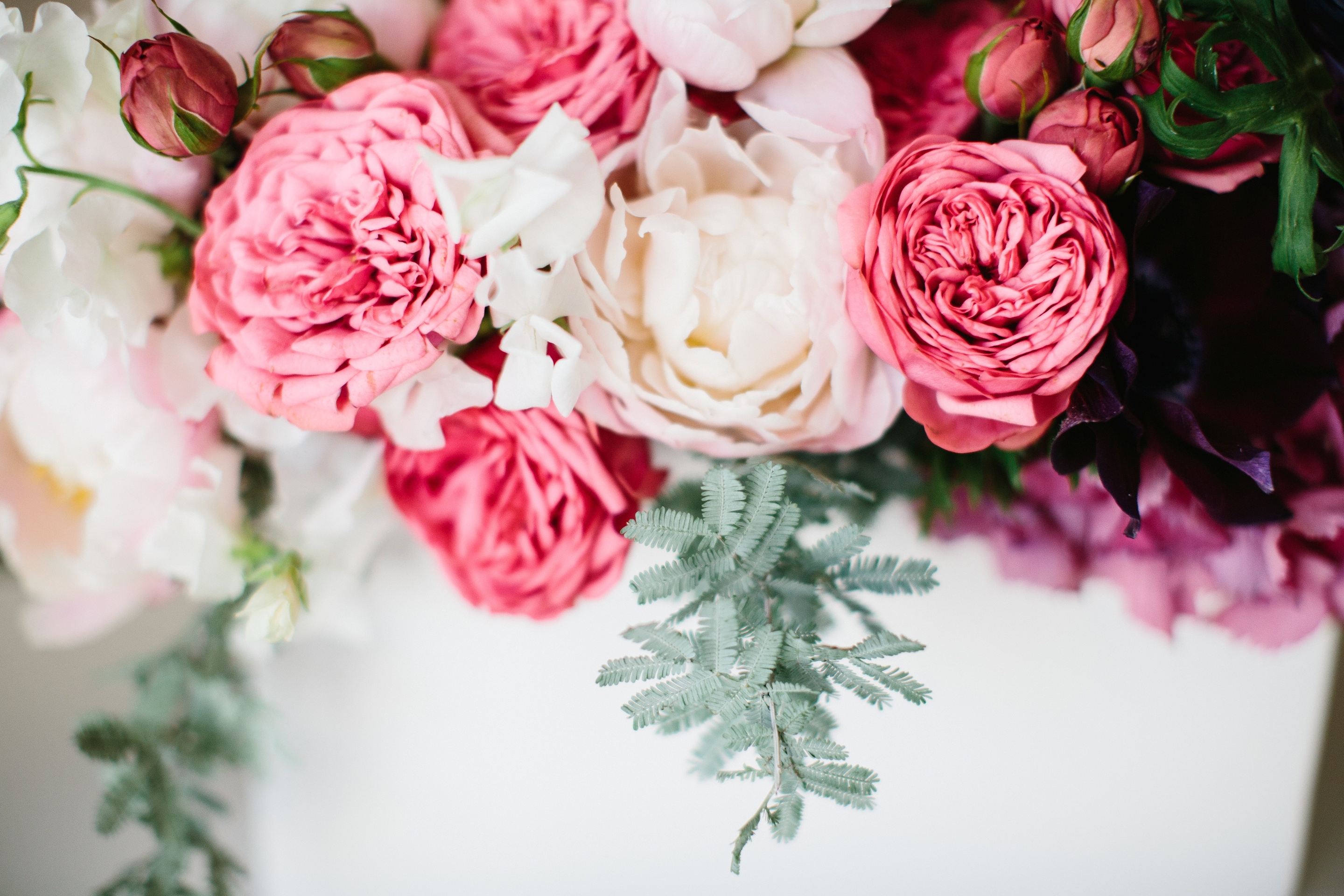 Tu vi thu ba ngay 5/4 cua cac cung hoang dao hinh anh