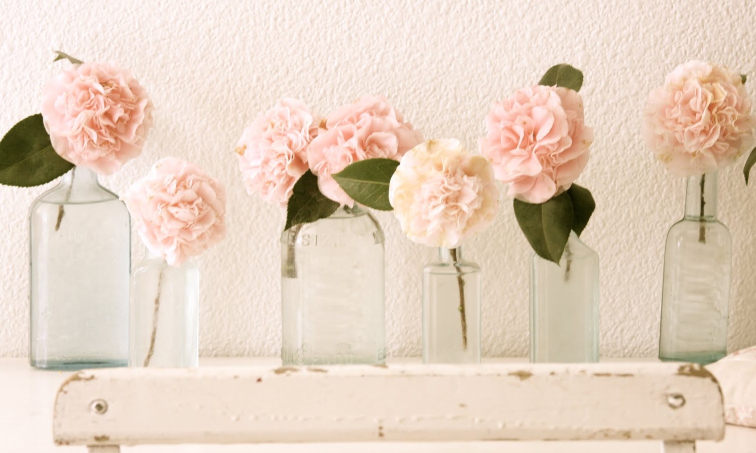 tử vi thứ hai ngày 11/4 ảnh 1 tu vi thu hai ngay 11/4 anh 1