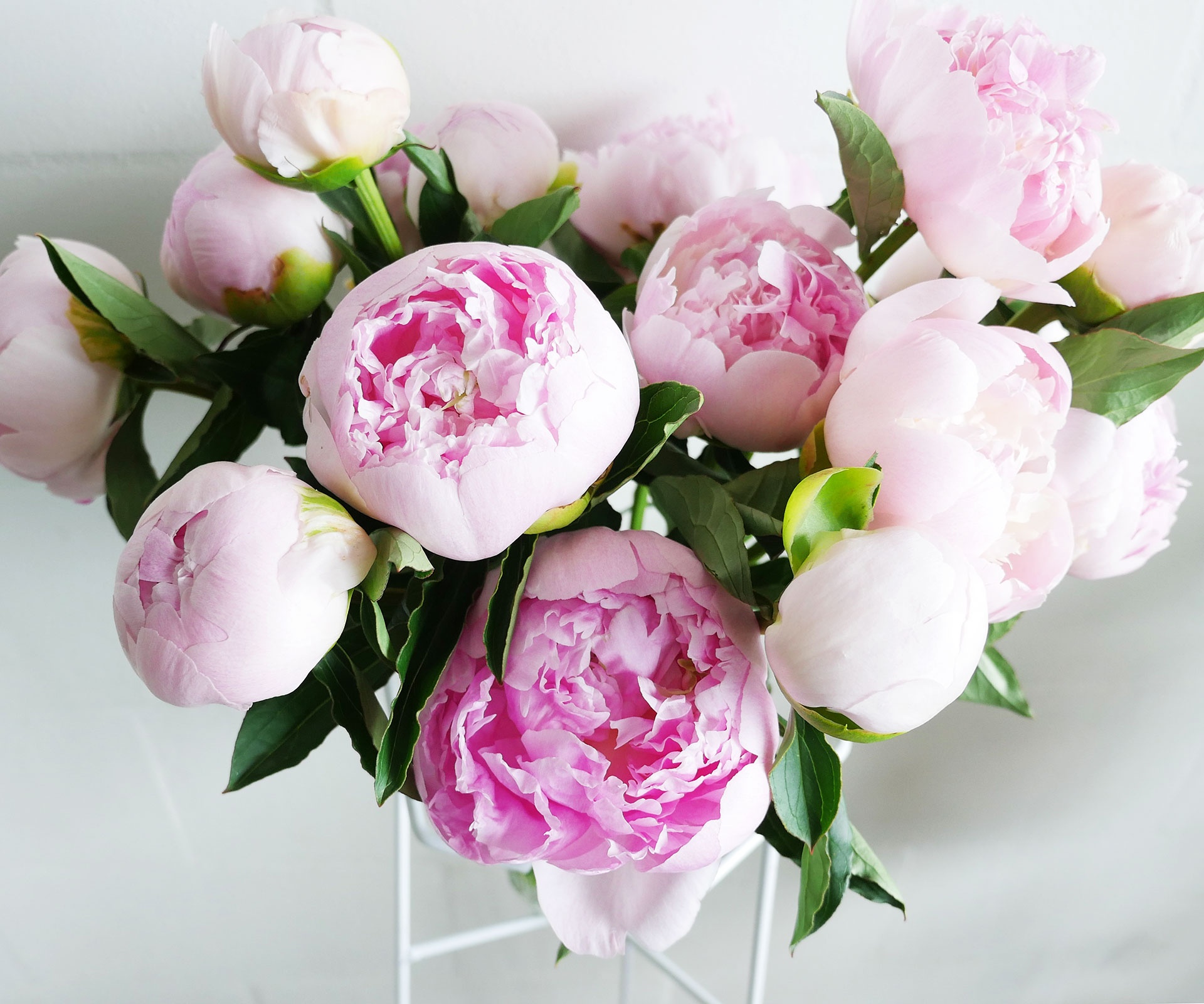 Tu vi thu ba ngay 12/4 cua cac cung hoang dao hinh anh