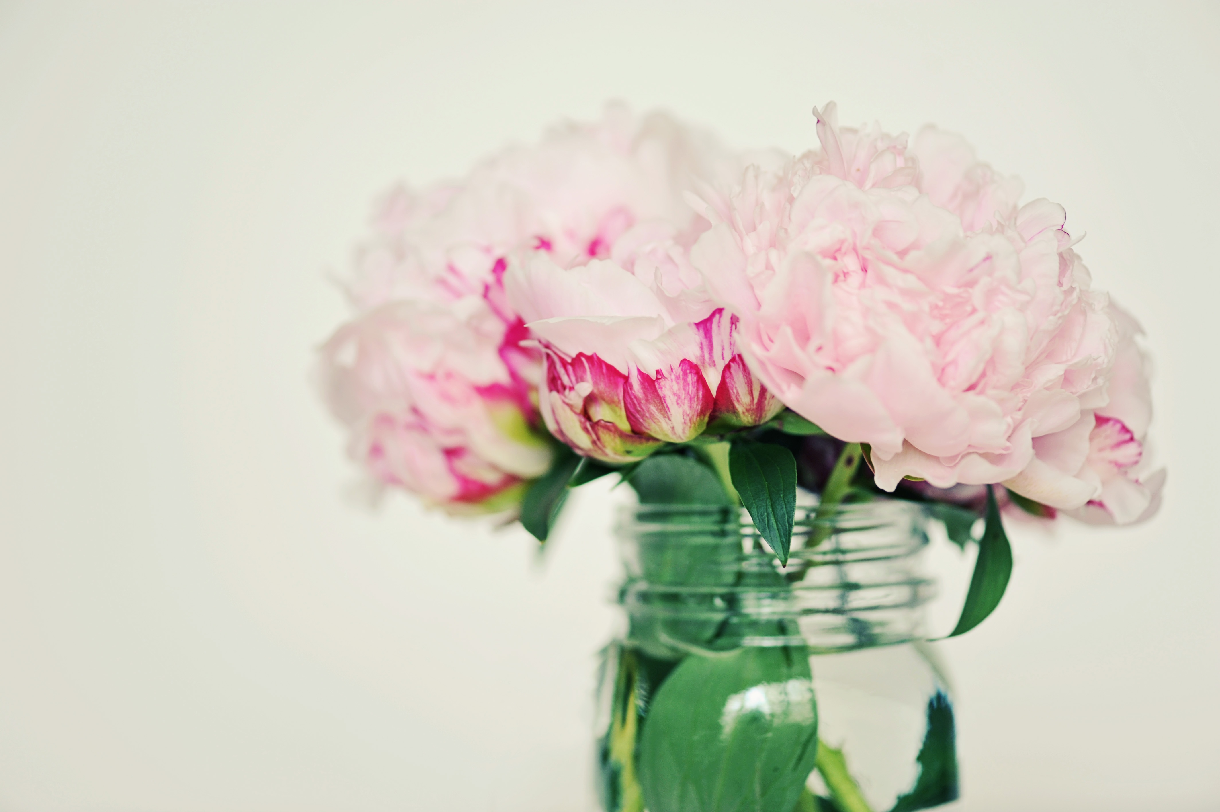 Tu vi thu nam ngay 21/4 cua cac cung hoang dao hinh anh