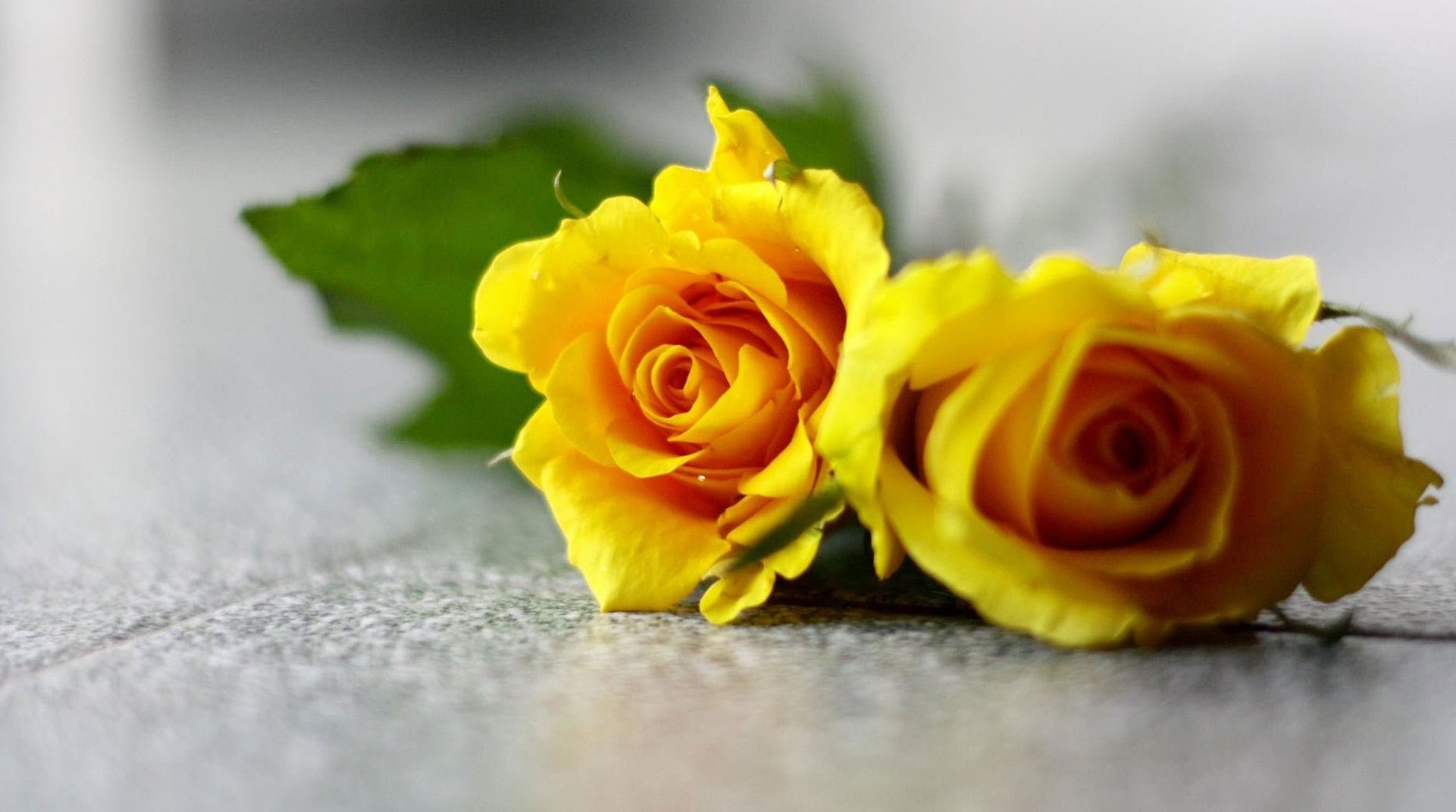 Tu vi thu tu ngay 4/5 cua cac cung hoang dao hinh anh