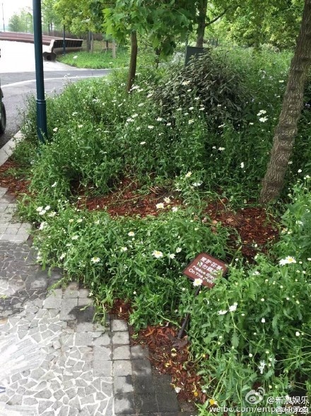 Du lịch Trung Quốc ảnh 8 Du lich Trung Quoc anh 8