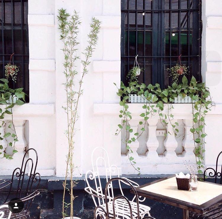 Quan ca phe o Ha Noi anh 5