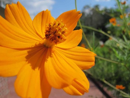 Tu vi thu nam ngay 12/5 cua cac cung hoang dao hinh anh