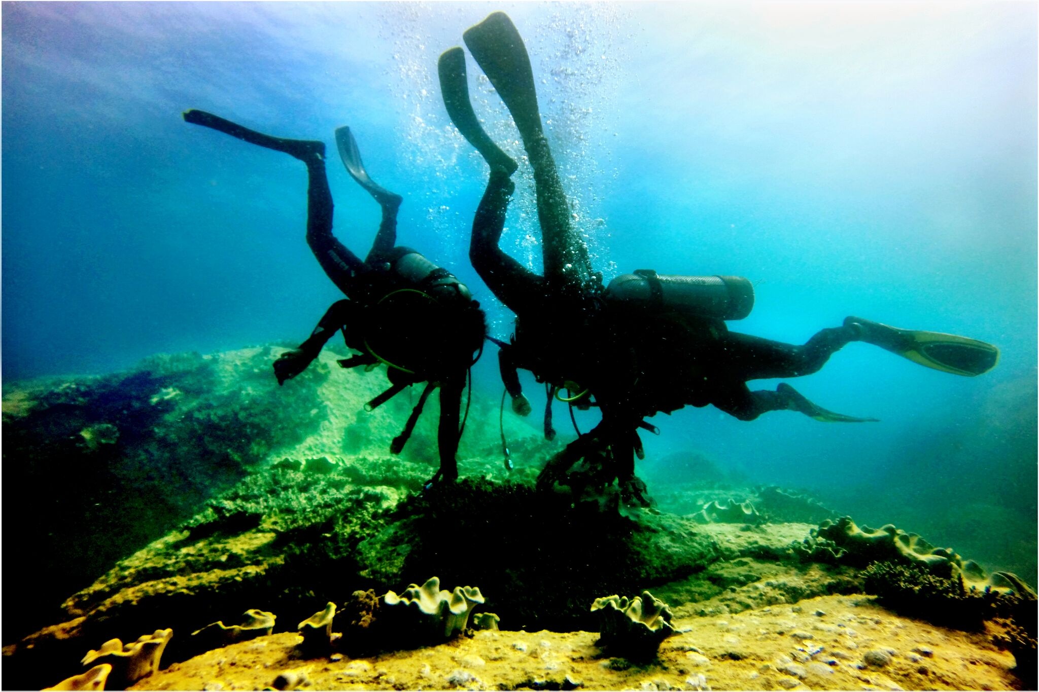 Du lịch đảo Hòn Cau ảnh 8 Du lich dao Hon Cau anh 8