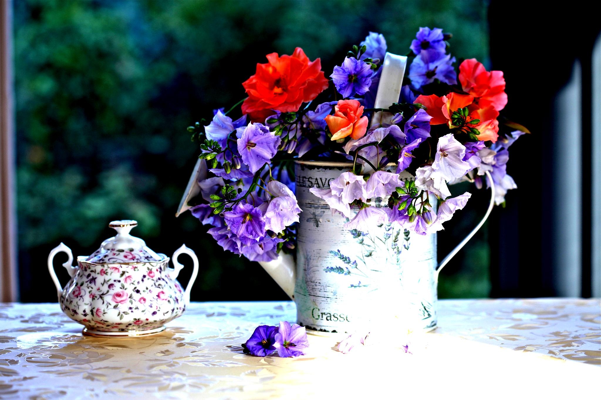 Tu vi thu nam ngay 19/5 cua cac cung hoang dao hinh anh