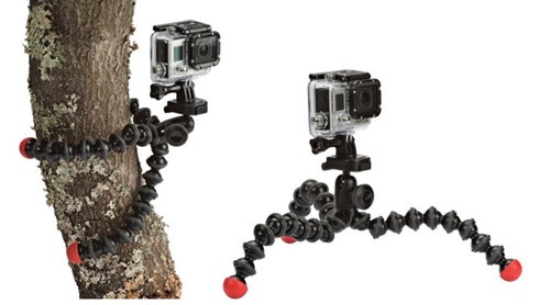 Bi quyet chup anh dep khi du lich anh 2