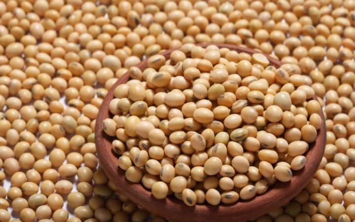nên và không nên ăn gì chống ung thư ảnh 3 nen va khong nen an gi chong ung thu anh 3