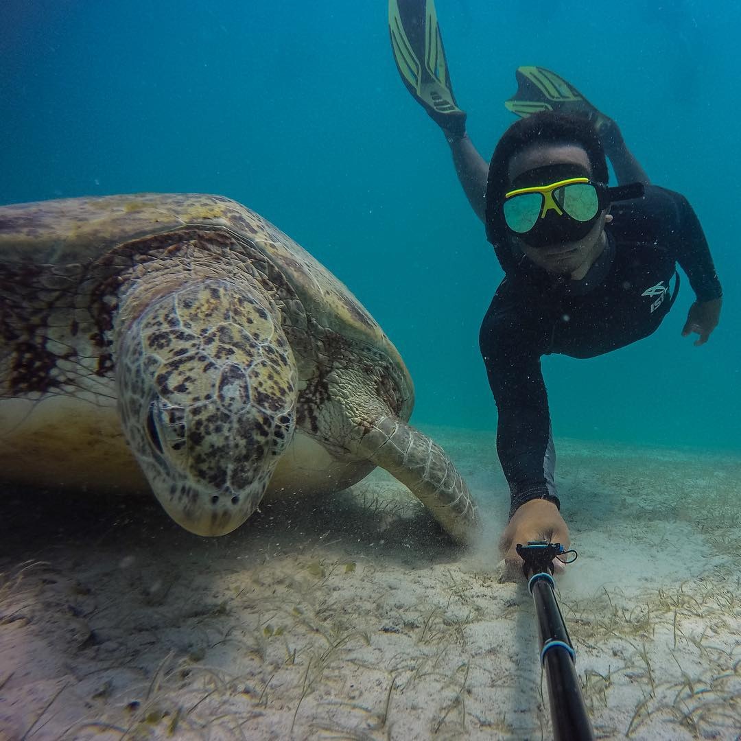 du lịch Malaysia, kinh nghiệm đi Malaysia ảnh 14 du lich Malaysia, kinh nghiem di Malaysia anh 14