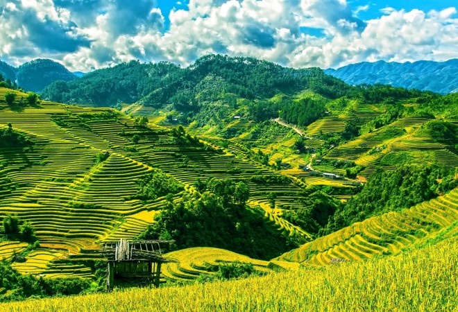 Viet Nam la diem den so 1 cho chuyen du lich mot minh hinh anh