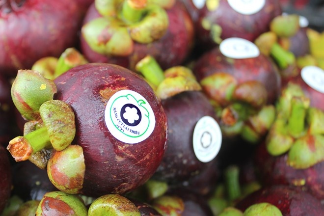 Du lich miet vuon anh 3