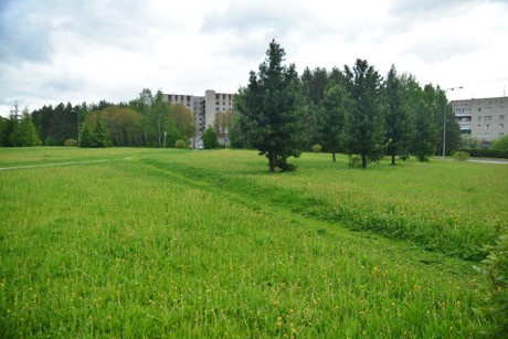 Ve dep binh yen Siberia vao he hinh anh