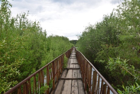 Vẻ đẹp của Siberia ảnh 13 Ve dep cua Siberia anh 13