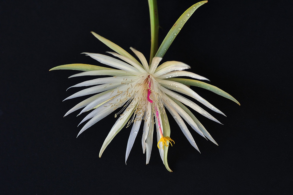 Tu vi thu nam ngay 2/6 cua cac cung hoang dao hinh anh