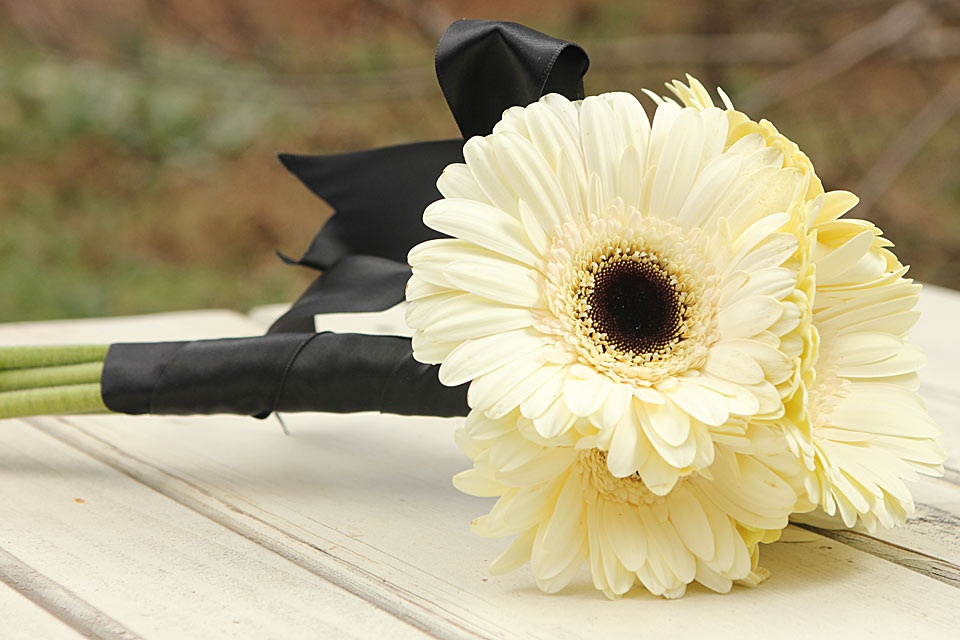 Tu vi thu hai ngay 6/6 cua cac cung hoang dao hinh anh