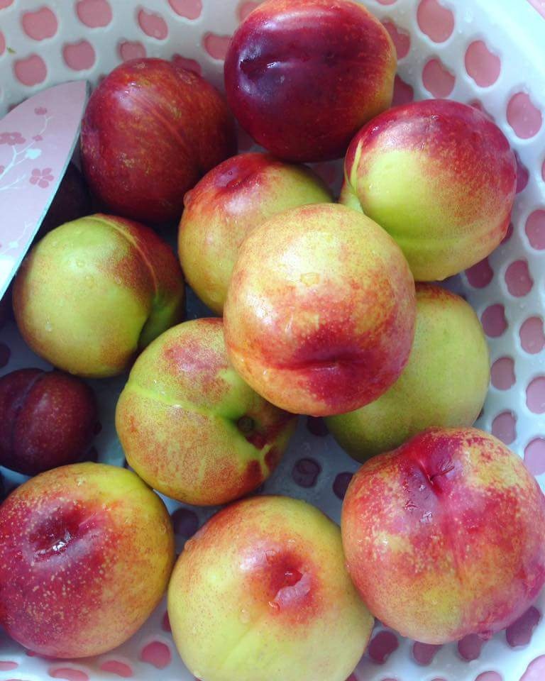 Cách làm trà đào ảnh 1 Cach lam tra dao anh 1