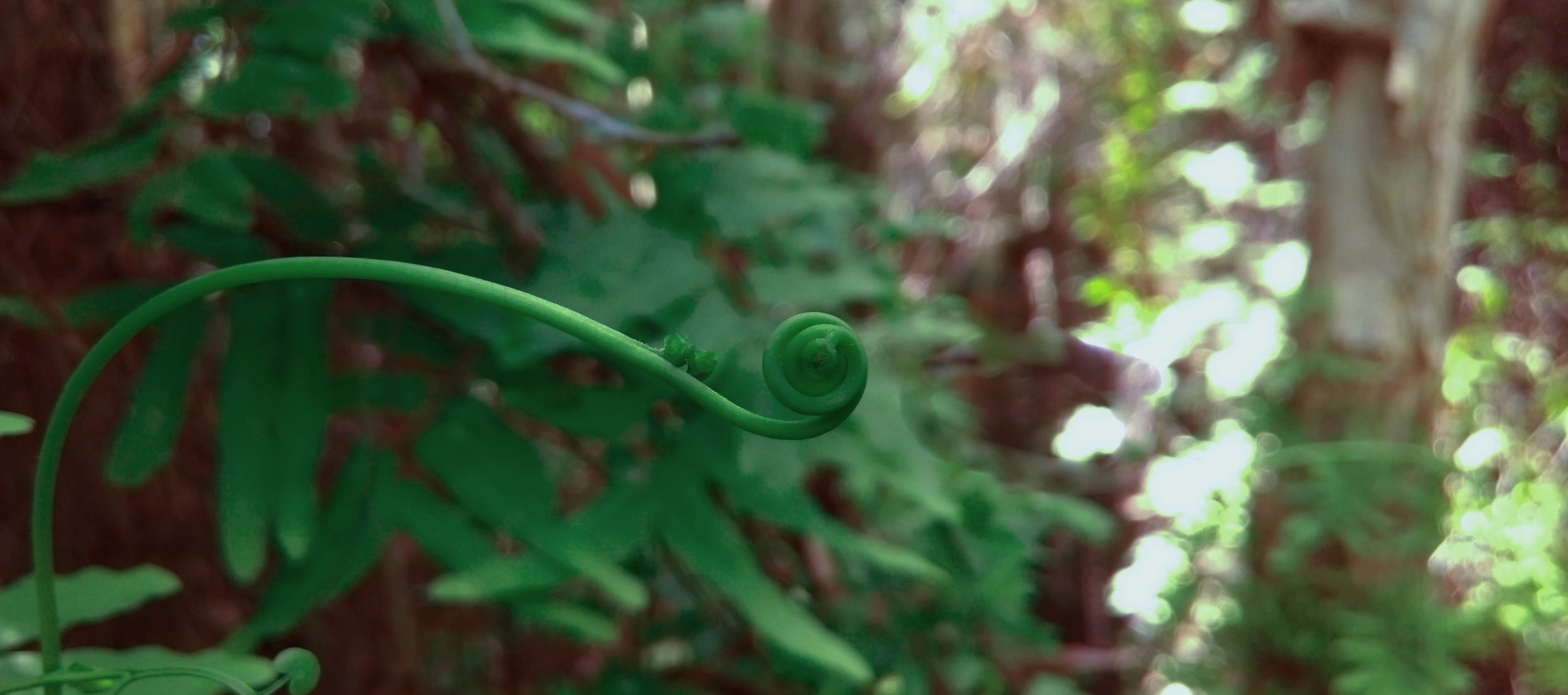 Làng nổi Tân Lập ảnh 10 Lang noi Tan Lap anh 10