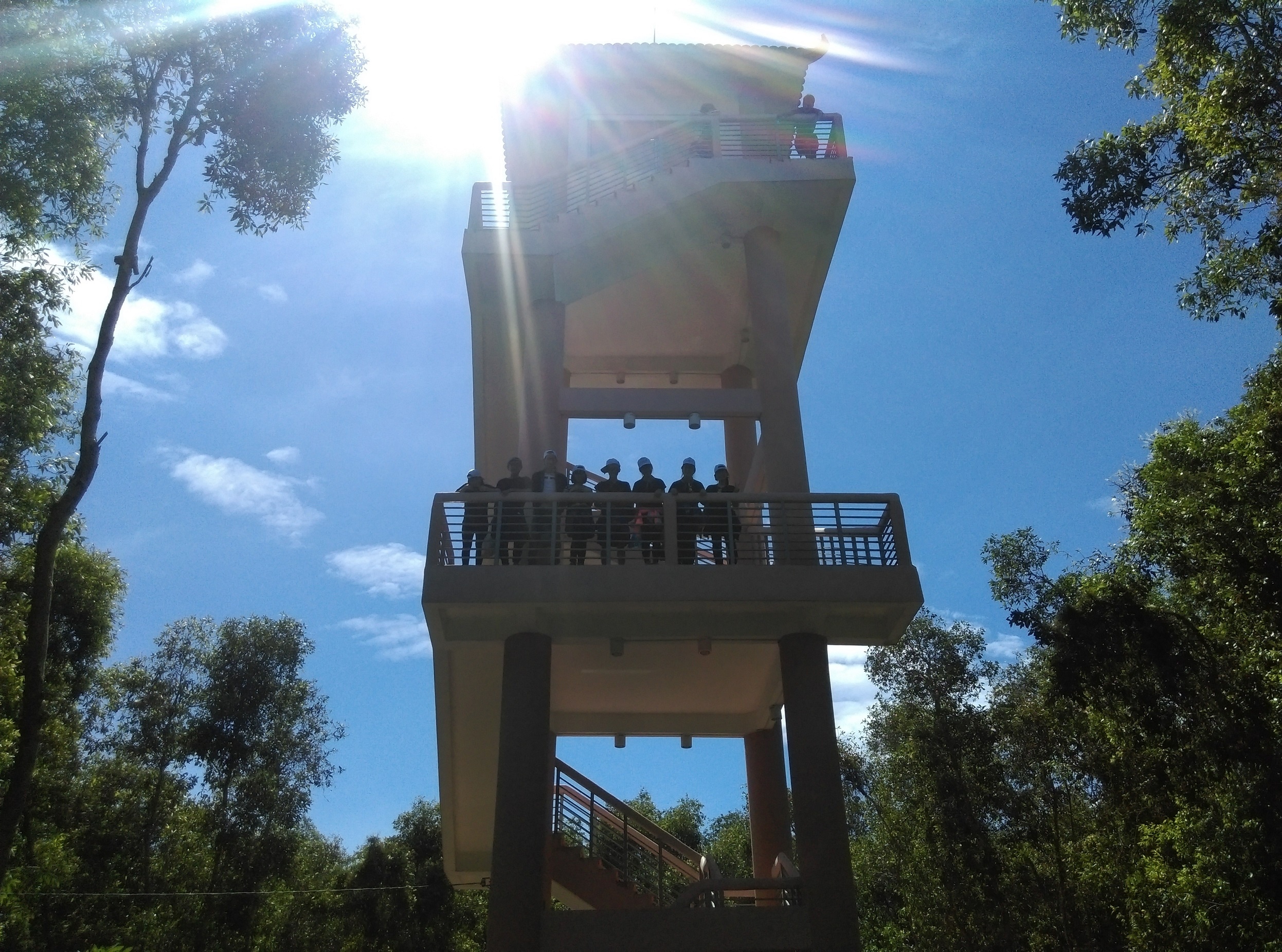 Làng nổi Tân Lập ảnh 12 Lang noi Tan Lap anh 12