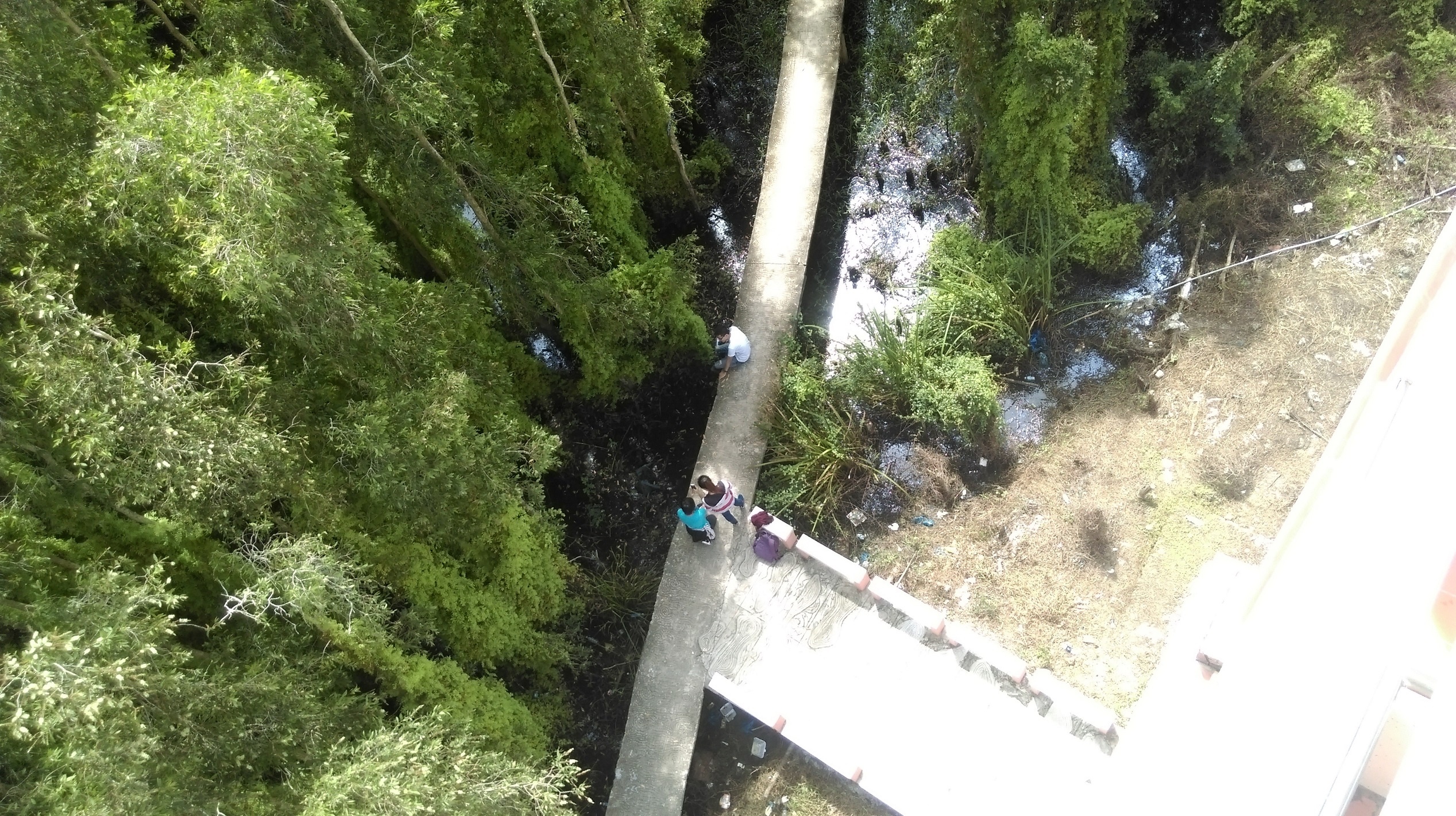 Làng nổi Tân Lập ảnh 3 Lang noi Tan Lap anh 3