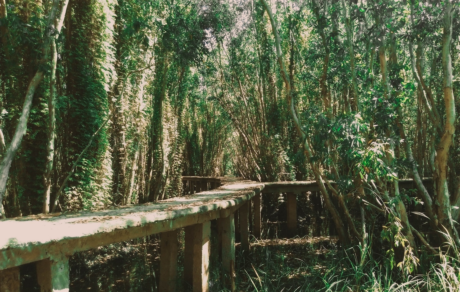 Làng nổi Tân Lập ảnh 6 Lang noi Tan Lap anh 6