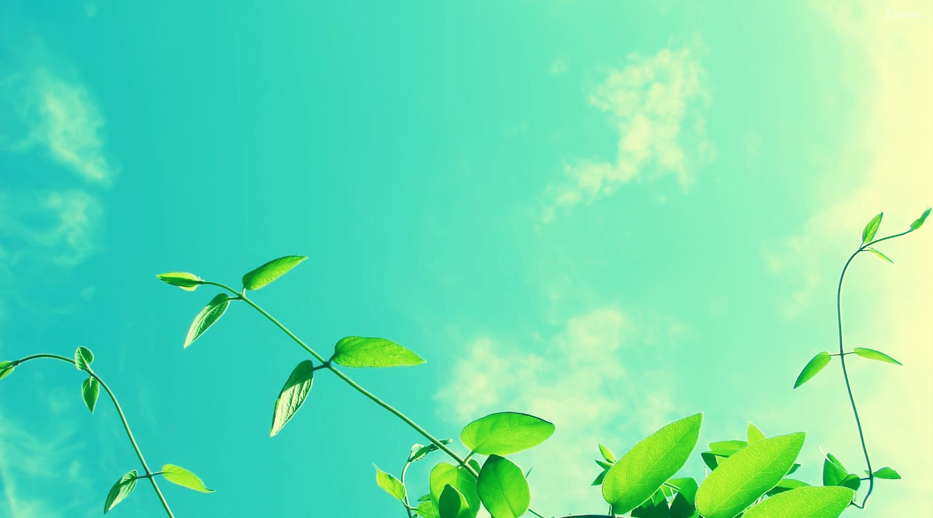 Tu vi thu tu ngay 8/6 cua cac cung hoang dao hinh anh