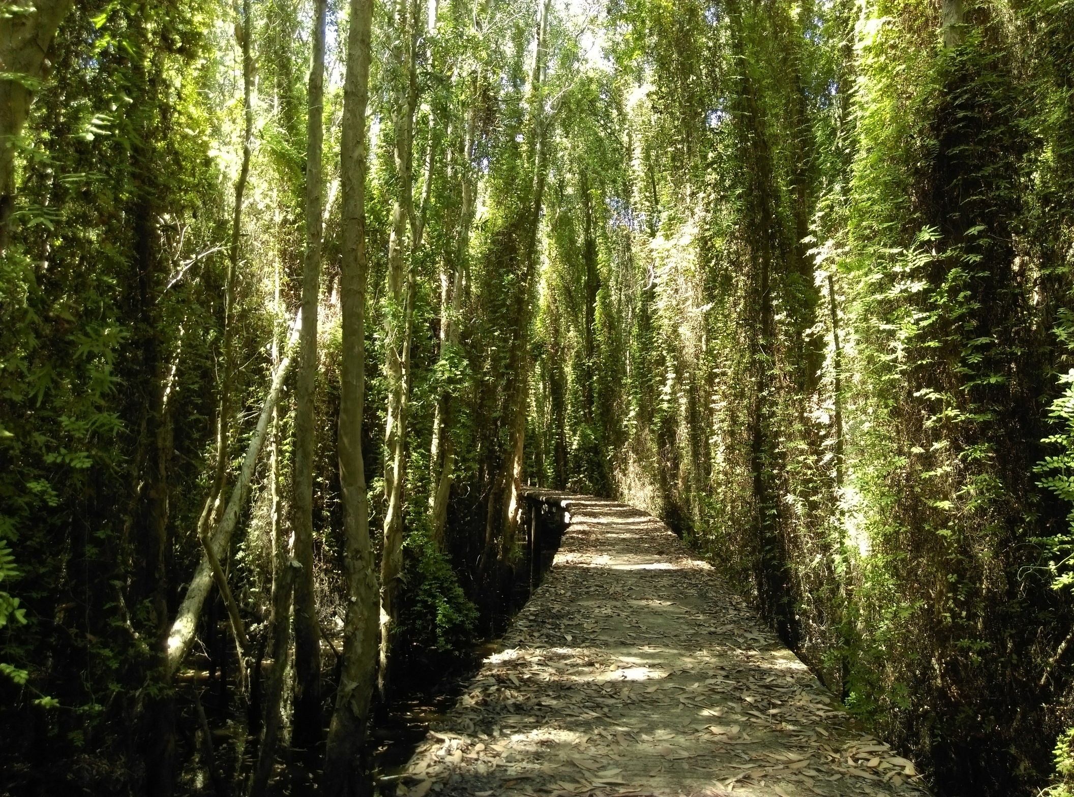 Làng nổi Tân Lập ảnh 7 Lang noi Tan Lap anh 7