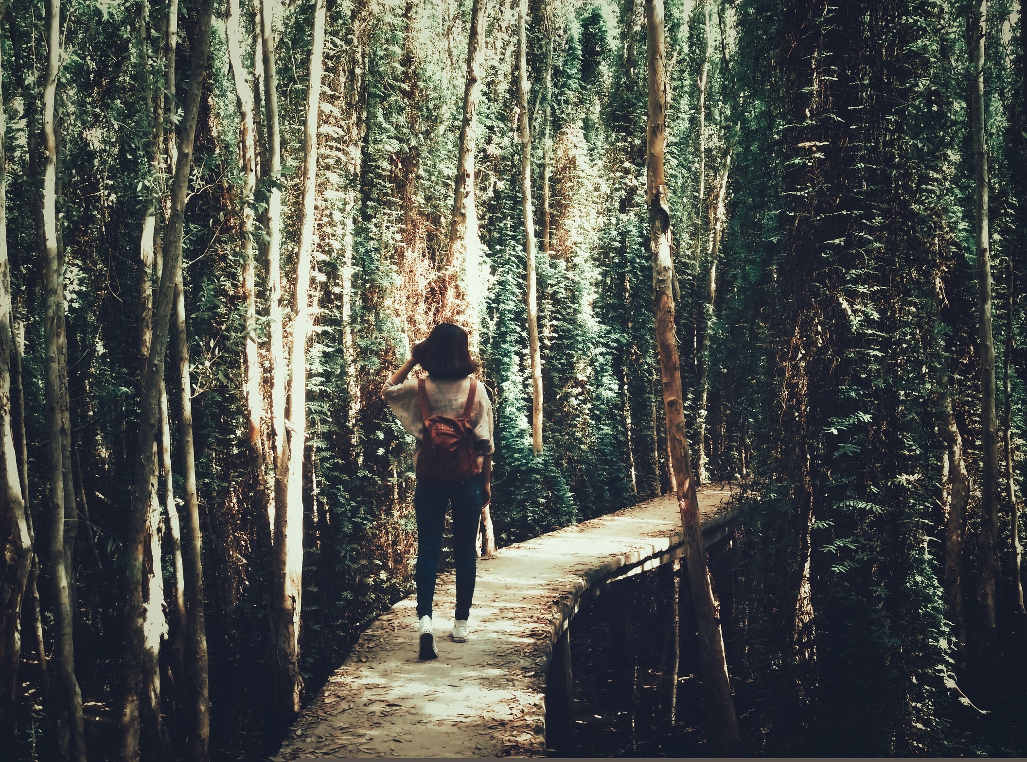 Kham pha rung tram bi an tai lang noi Tan Lap hinh anh