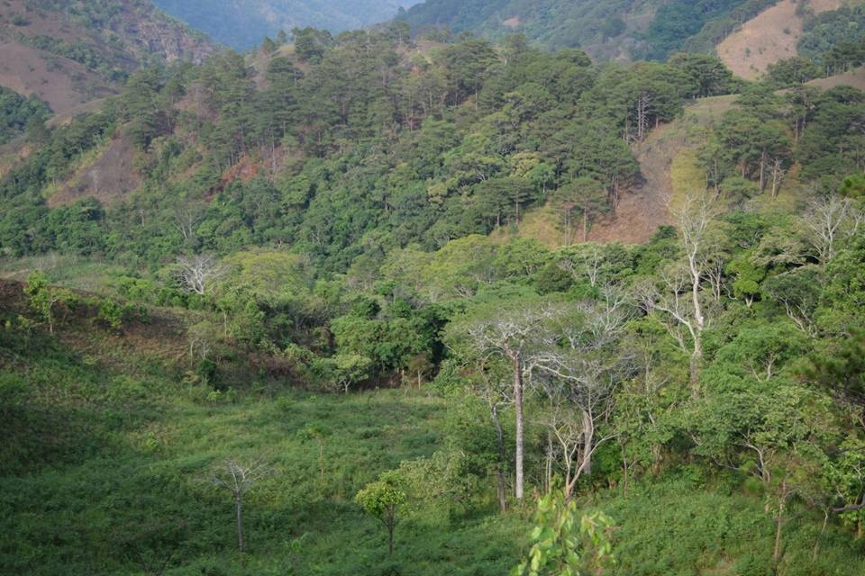 Phuot Ta Nang Phan Dung anh 1