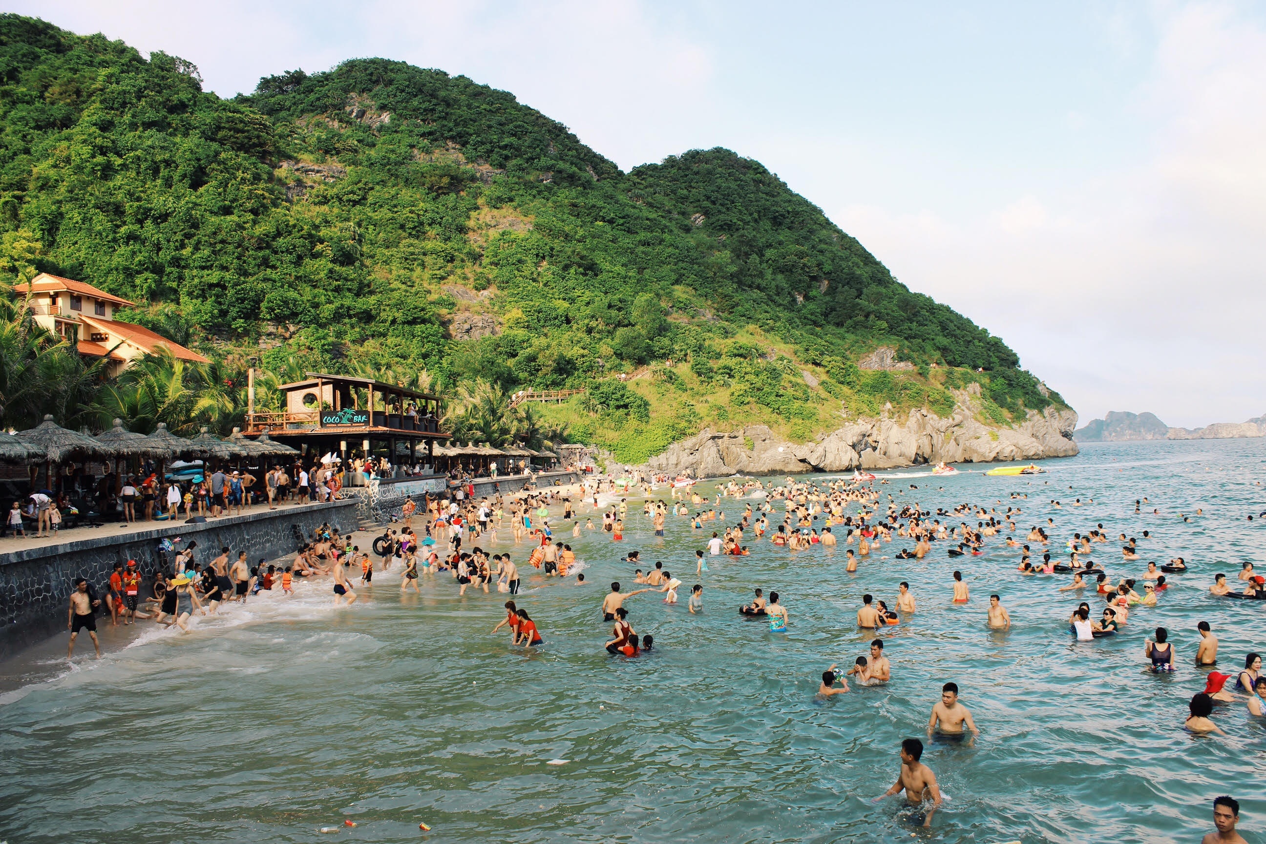 Hải Phòng mùa hoa phượng nở ảnh 6 Hai Phong mua hoa phuong no anh 6