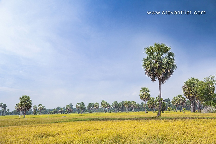 Du lich Chau Doc anh 6