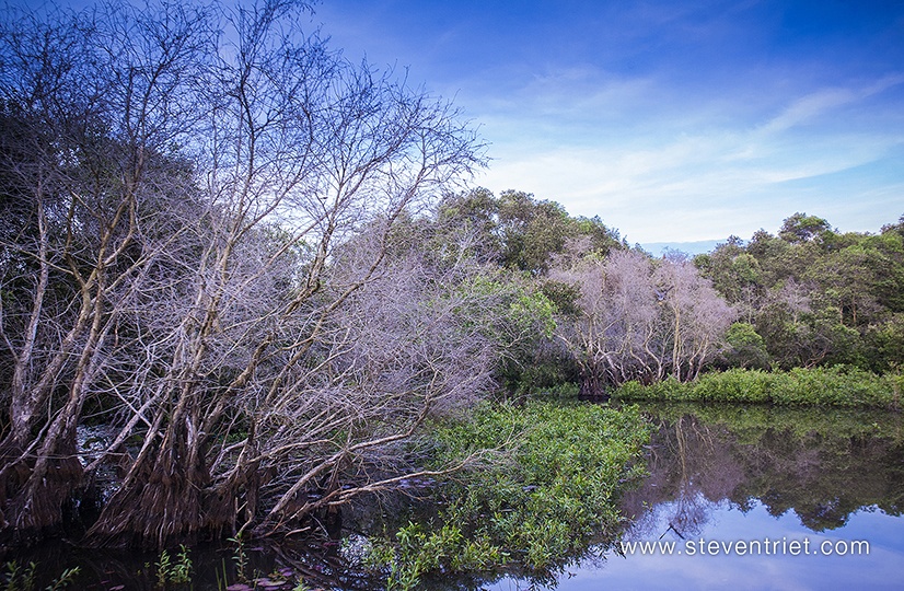Du lich Chau Doc anh 11