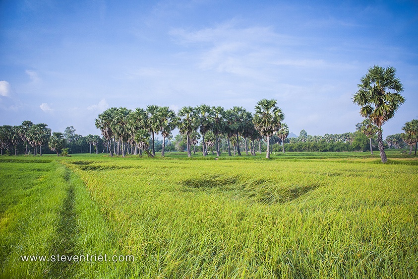 Du lich Chau Doc anh 7