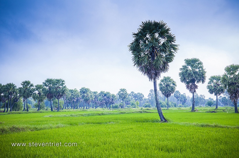 Du lich Chau Doc anh 4