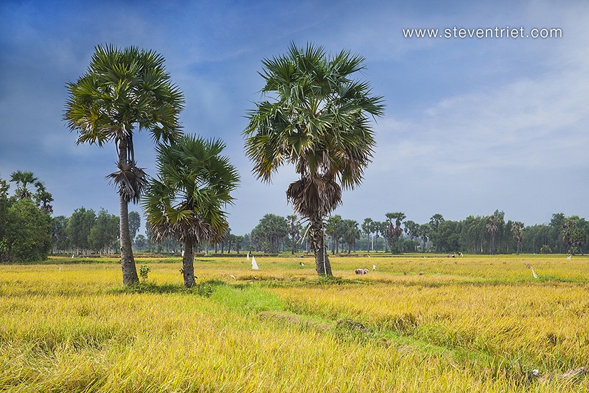 Du lich Chau Doc anh 5