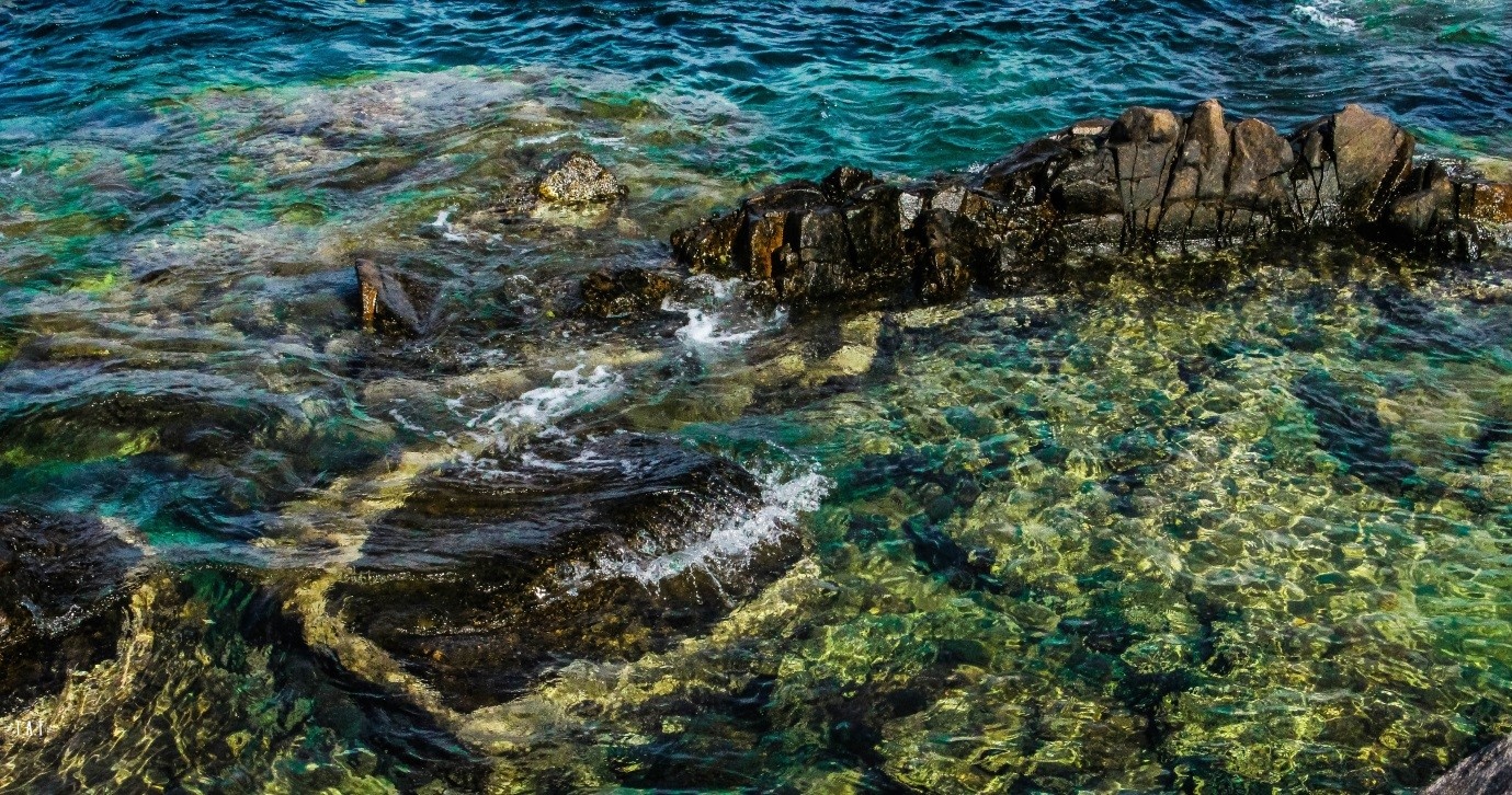 Cung đường Ninh Thuận Nha Trang ảnh 2 Cung duong Ninh Thuan Nha Trang anh 2