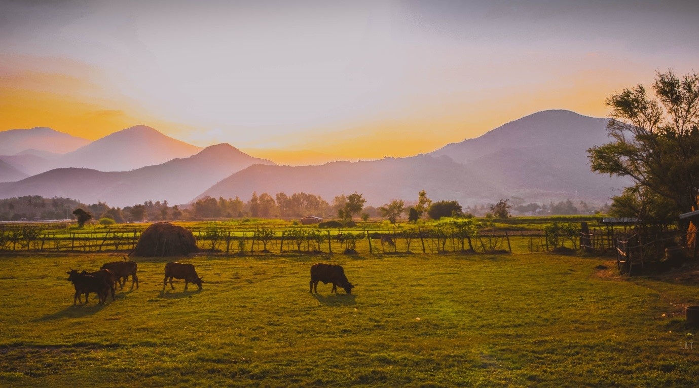 Cung đường Ninh Thuận Nha Trang ảnh 6 Cung duong Ninh Thuan Nha Trang anh 6