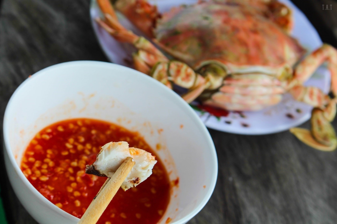 Cung đường Ninh Thuận Nha Trang ảnh 10 Cung duong Ninh Thuan Nha Trang anh 10